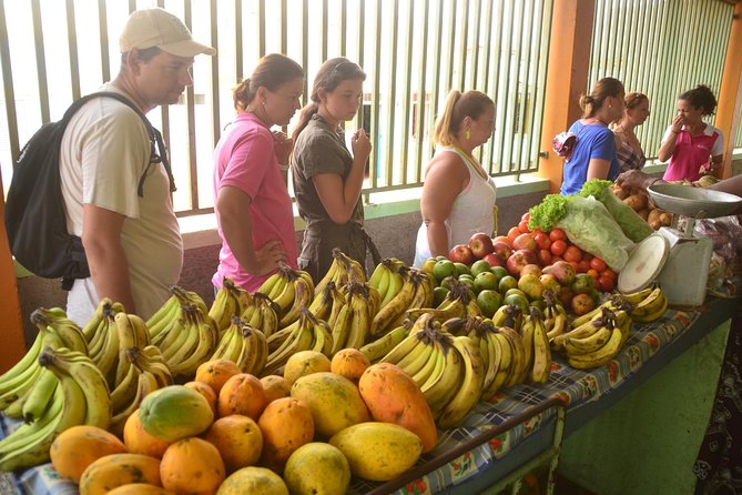 Half-Day Sal Island Tour with Shark Experience from Santa Maria - Terra Boa and the famous mirage