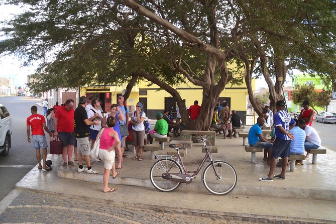 Half-Day Sal Island Tour with Shark Experience from Santa Maria - Murdeira Bay and Monte Leao