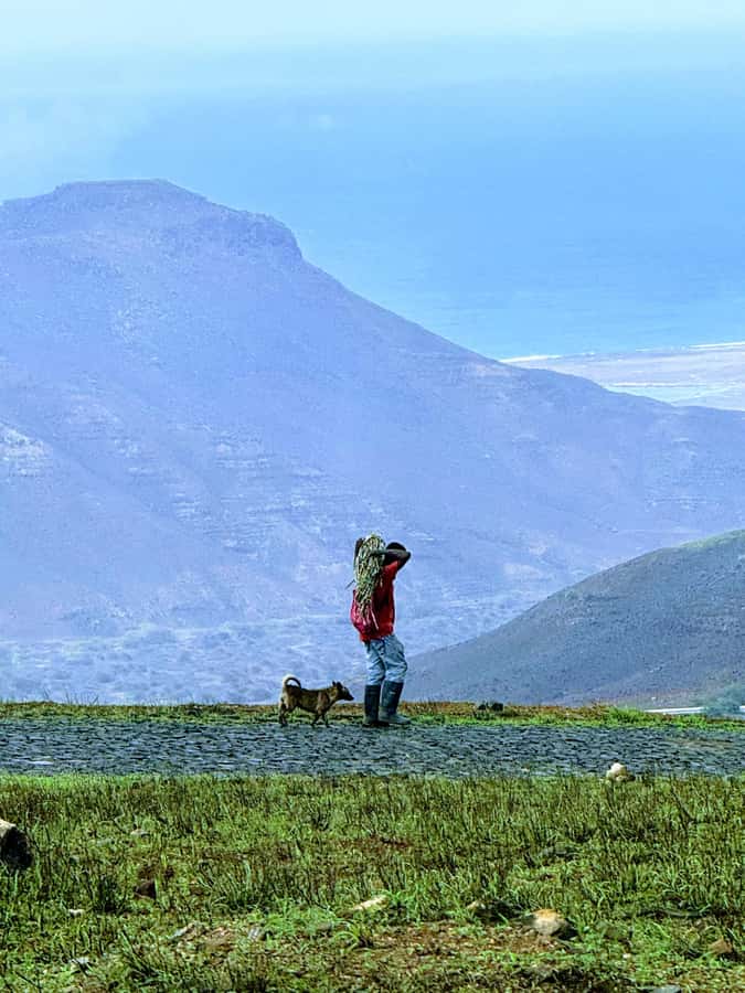 Hike Monte Verde - Key points to know before you book