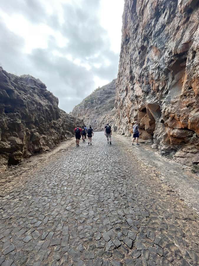 Hike Monte Verde - Why Monte Verde feels different from the rest of São Vicente
