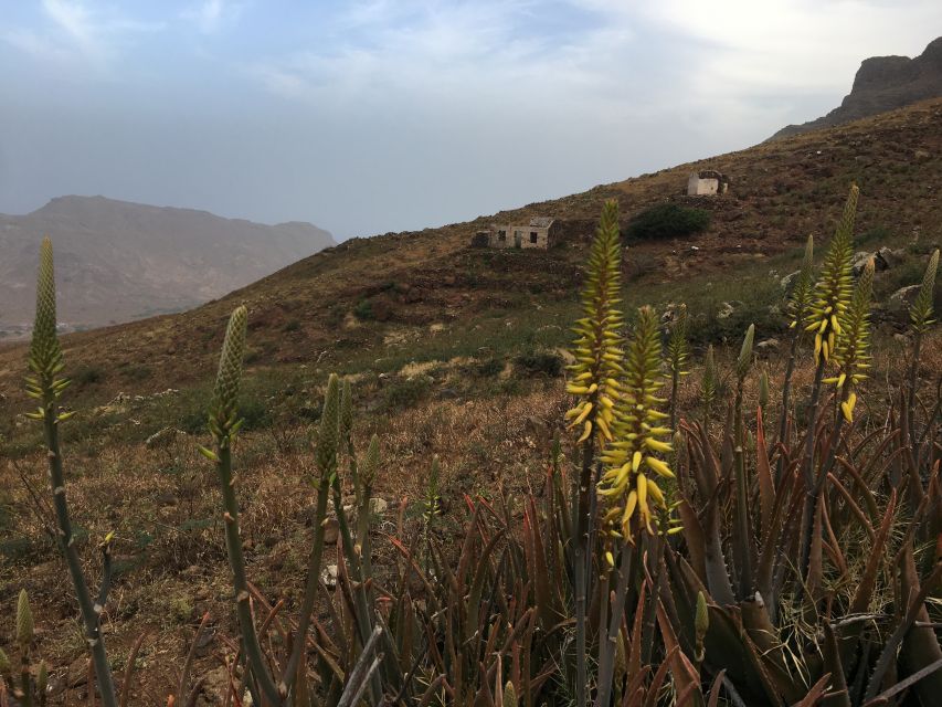 Hike Monte Verde - The upper road to Monte Verde’s summit