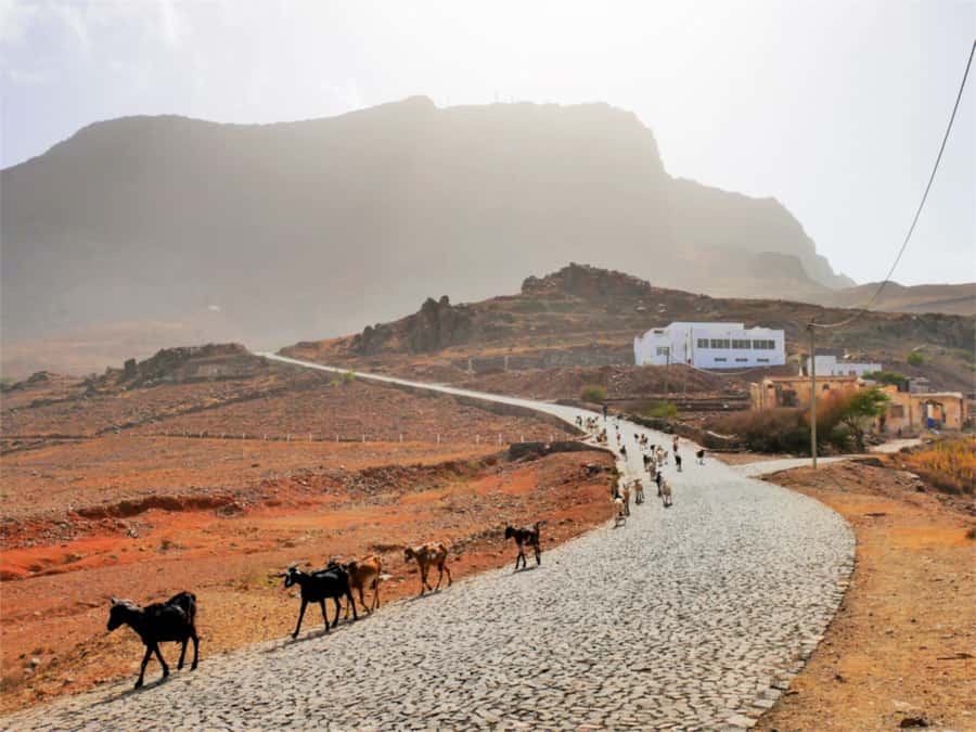 Hike to the highest point of Monte verde - Why Monte Verde matters on dry São Vicente