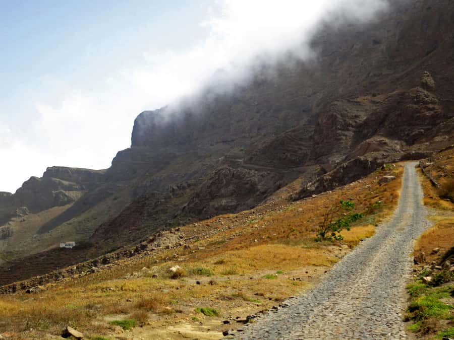 Hike to the highest point of Monte verde - Pickup from your hotel or the cruise port