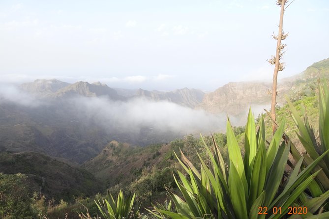 Hike Tour - Walking the Serra Natural Park on goat paths
