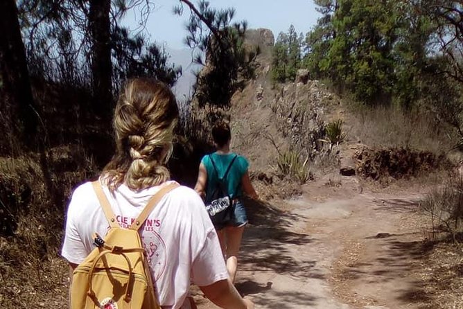 Hiking Serra Malagueta Natural Park - What the three-hour route gives you