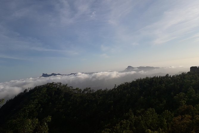 Hikking Natural Park/Serra Malagueta - What the private guide changes