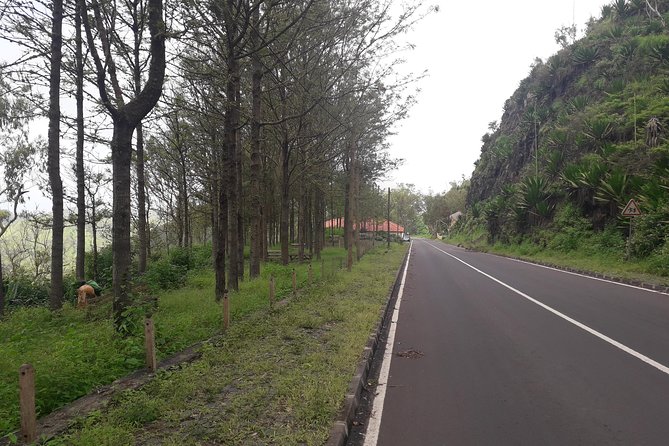 Hikking Natural Park/Serra Malagueta - Starting at 800 meters above sea level