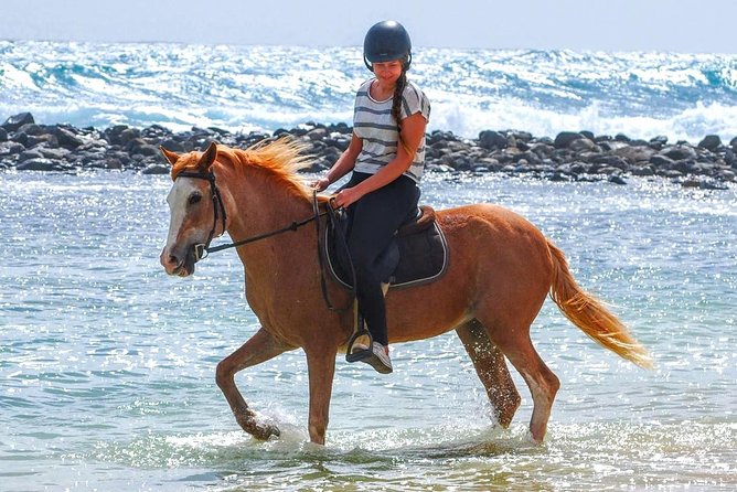 Horse Riding in Sal Island - Cabo Verde - Key points to know before you book