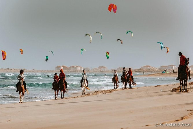 Horse Riding in Sal Island - Cabo Verde - The two-hour ride, the fullest view of Sal