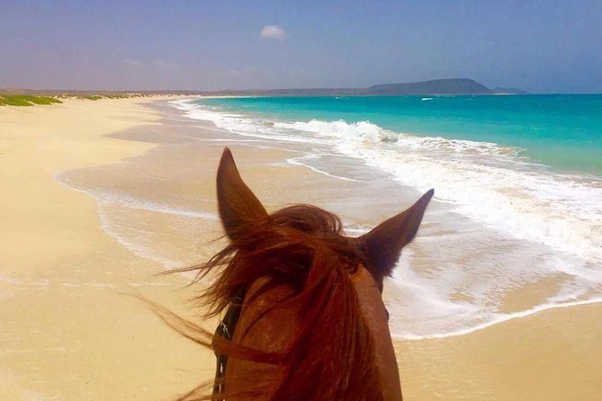 Horse Riding in Sal Island - Cabo Verde - Horses, guides, and the beginner question