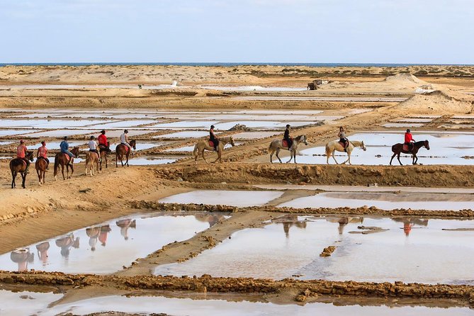 Horse Riding in Sal Island - Cabo Verde - The one-hour route across Sal’s salt flats