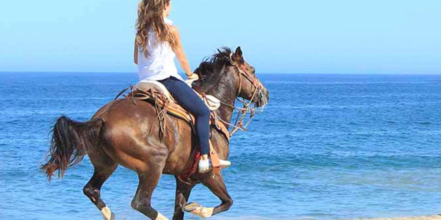 Horseback riding in Boavista for beginners - What makes this Boa Vista horse ride worth considering