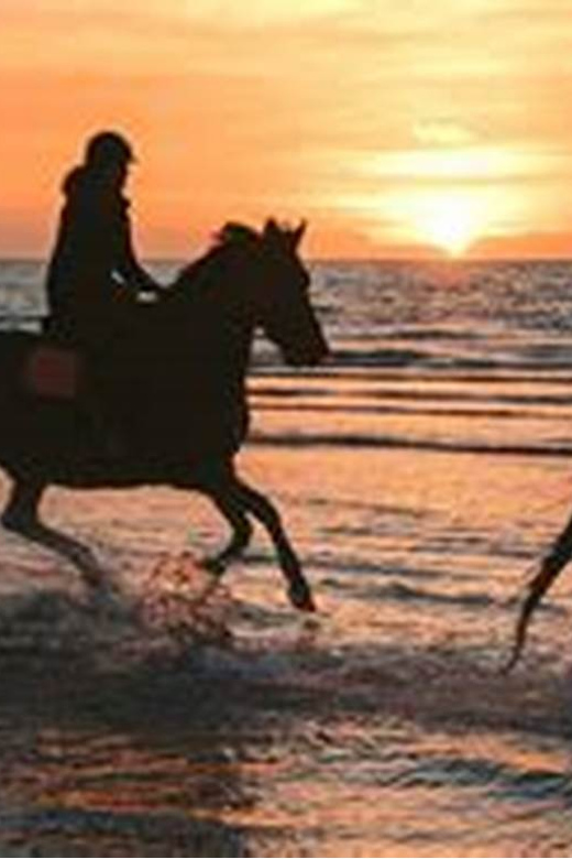Horseback riding in Boavista for beginners - Riding beside the sea in Boa Vista