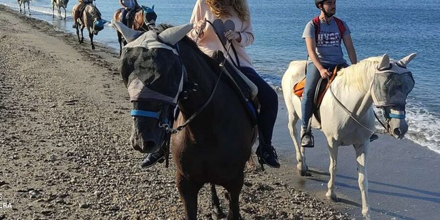 Horseback riding in Boavista for beginners - The safety briefing for first-time riders