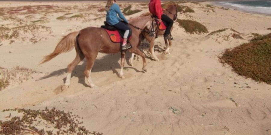 Horseback riding in Boavista for beginners - Who will enjoy this ride most?