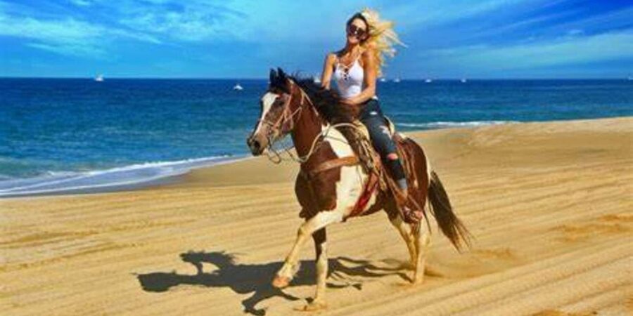 Horseback riding in Boavista for beginners - Meeting the horses at Riu Palace
