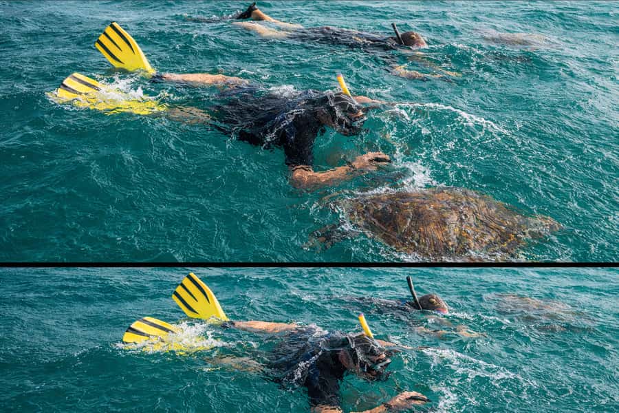Ilha Do Sal: Snorkeling with Local Guide - Finding the shallow shipwreck and its fish