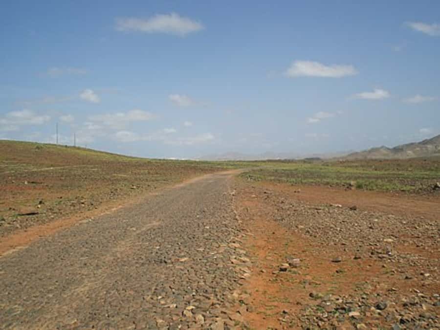 Island tour & cattle & Taste local flavors - A traditional village and Boa Vista’s human scale
