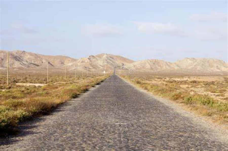 Island tour & cattle & Taste local flavors - Fundo de Figueiras and the volcanic road home