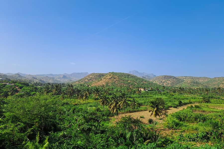 Island tour with German-speaking guide for cruise guests - Praia closes the loop