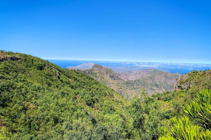 Island tour with German-speaking guide for cruise guests - Serra Malagueta Natural Park and the high country