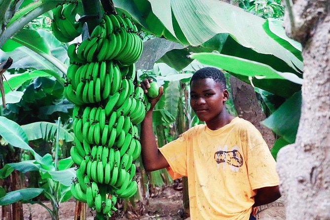 Like Locals: Banana Plantation, and Cuscuz with locals - Four things to know before booking