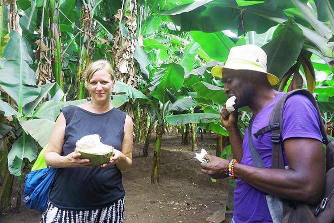 Like Locals: Banana Plantation, and Cuscuz with locals - São Lourenço dos Órgãos and the welcome from Mama Luisa and Gustavo