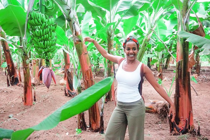 Like Locals: Banana Plantation, and Cuscuz with locals - The guide makes a big difference