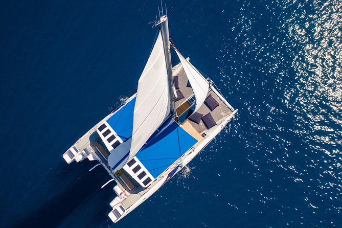 Lounge Catamaran SODADE Half-Day - The crew turns a boat ride into a party