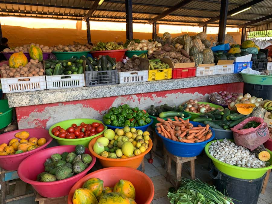 Mindelo Cultural: city tour with live music and tasting - Timing, cancellation, and useful planning tips
