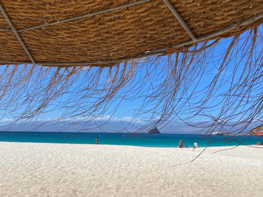 Mindelo: Private Walking Tour with Local Food Tasting - What $57 gets you