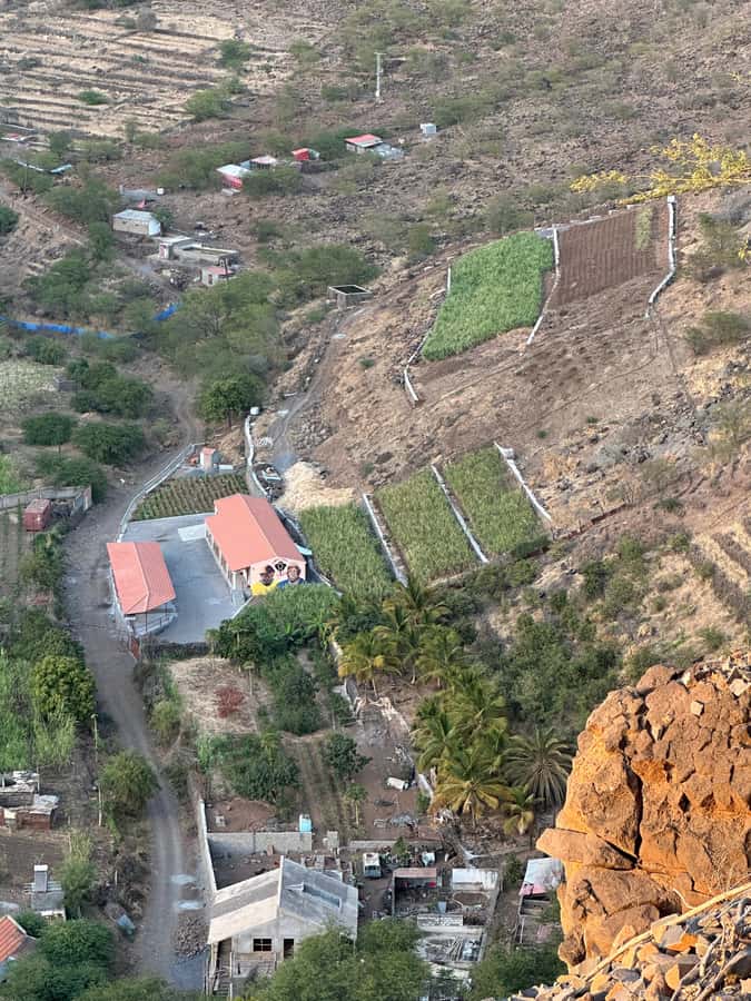 On the roads of Grogu - visit the Cabral&Martins family distillery - Why grogu makes this a useful cultural stop
