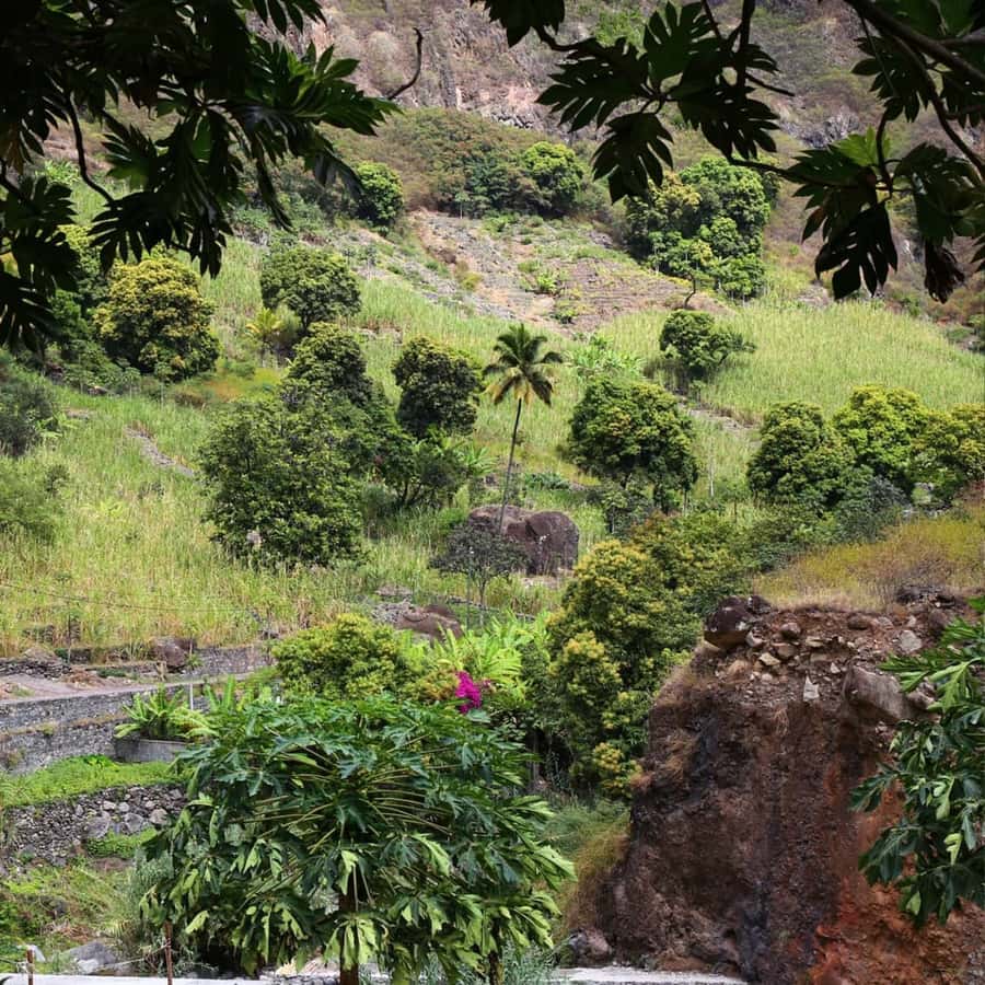 Paúl hike, the green garden - Fitness, footwear, and what to bring