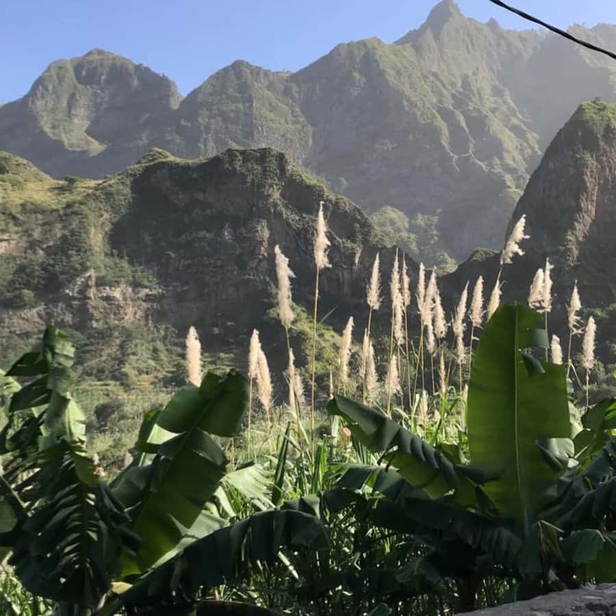 Paúl hike, the green garden - The traditional lunch at the end