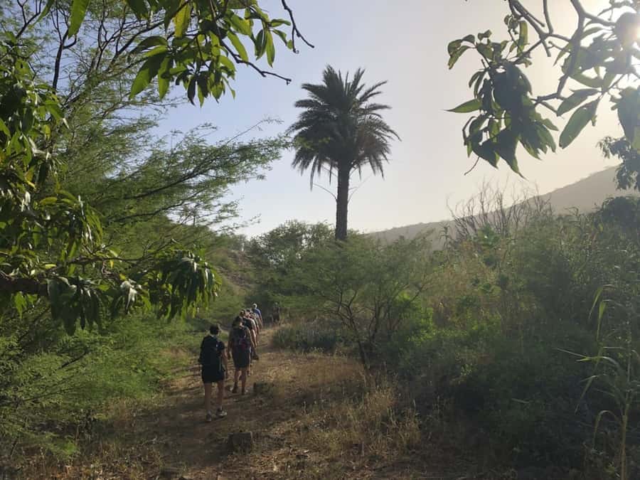Praia: Baobab Mysterious Tree, Green Valley & Old City Hike - What the guides add to the walk