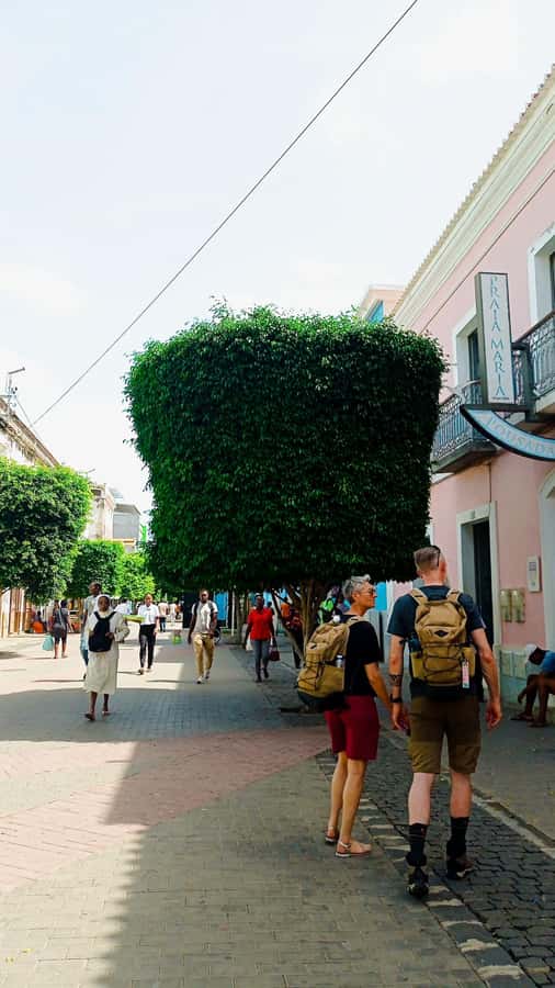 Praia: Guided City Walking Tour - The Municipal Market and its Sunday closure