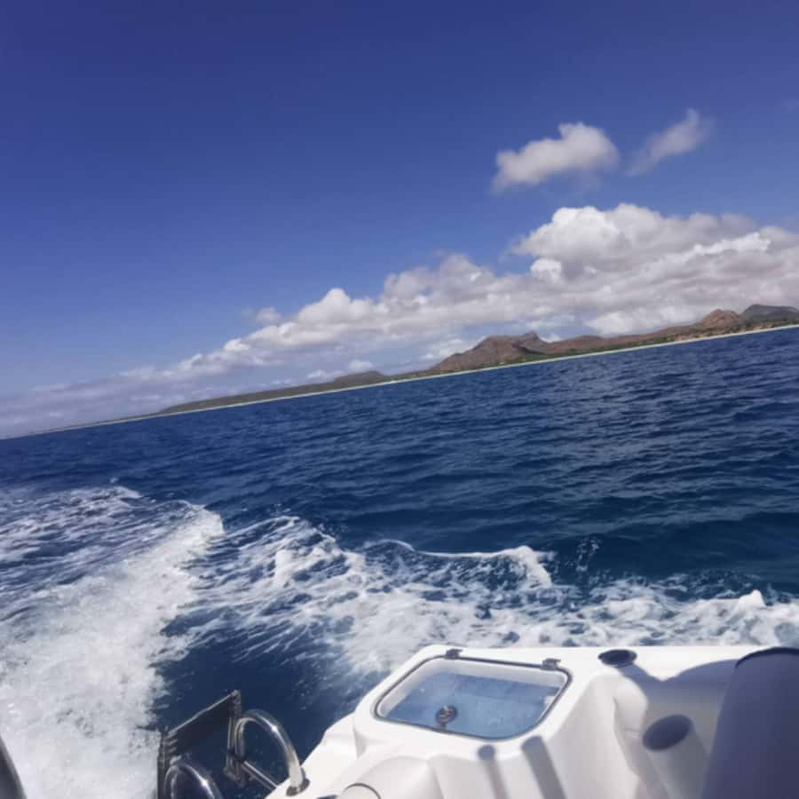 Premium - Private Boat Tour Boa Vista - What is included, and what you still need to bring