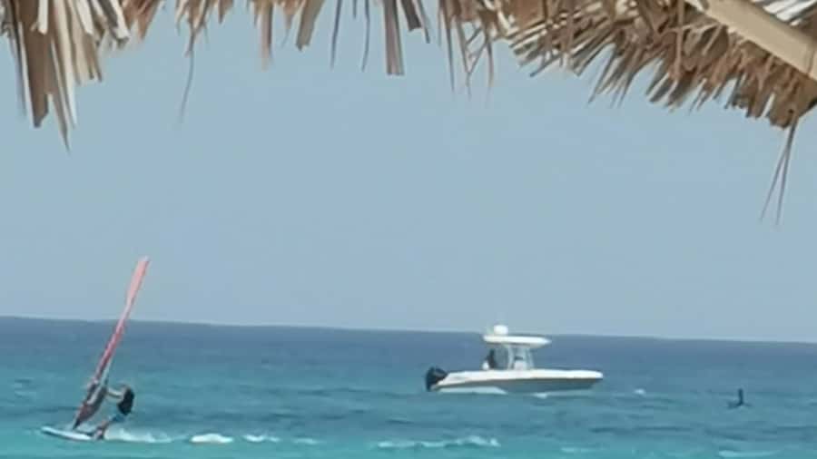 Premium - Private Boat Tour Boa Vista - What the five-star feedback tells you