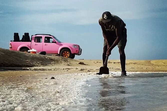 Private Creative Pictures Full Day Island Tour (Off Road inc.) - Shark Bay and the salt story of Pedra Lume