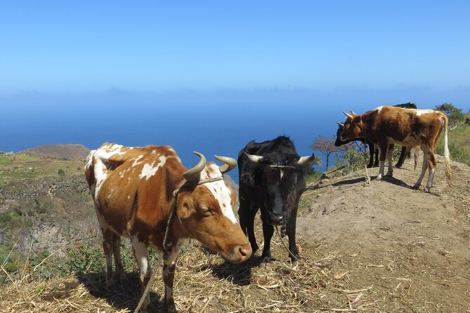 Private Day Trip to Santo Antao with Lunch - Key points to know before booking