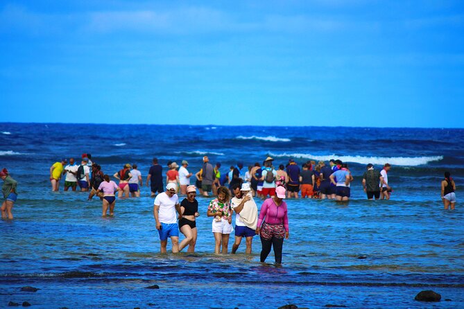 Private Full-Day Tour of Sal Island - Sal Island in one full day