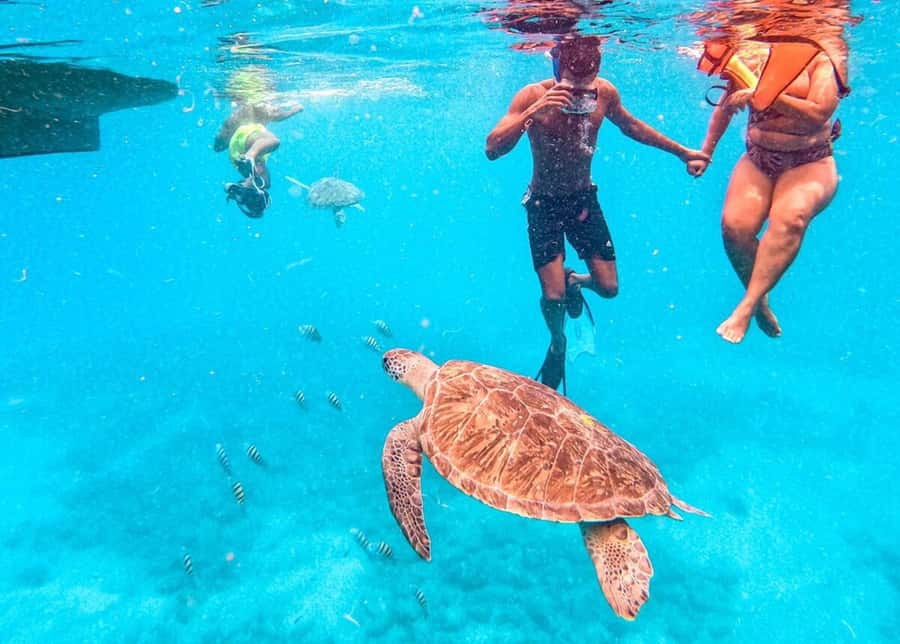 Private Snorkel Experience with Sea Turtle for Cruisers - From Mindelo port to São Pedro