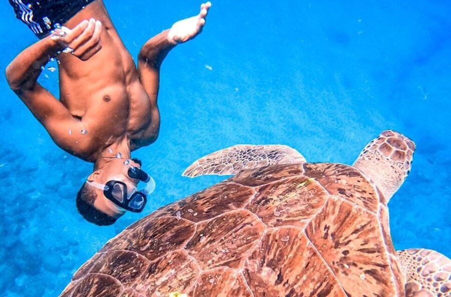 Private Snorkel Experience with Sea Turtle for Cruisers - Who will enjoy this São Vicente excursion