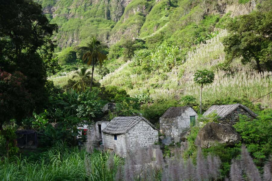Ribeira Grande: Hiking Day Trip to Ribeira de Torre - Key Points About the Ribeira de Torre Hike