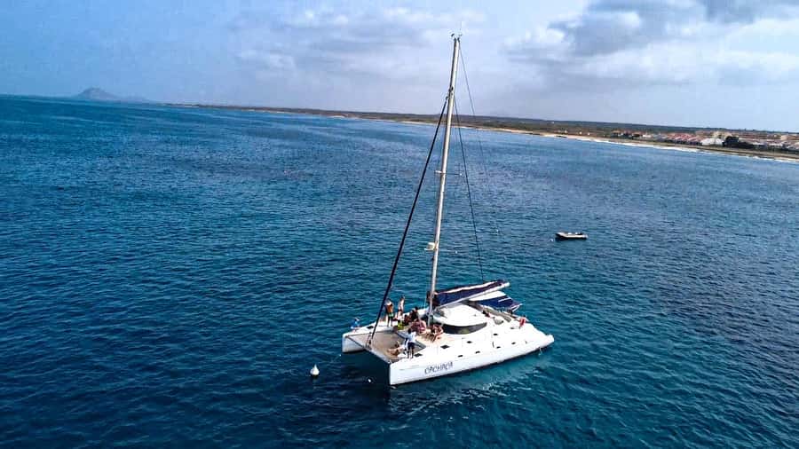 Sal, Cape Verde: Half day on Cuba Libre sailing yacht - Wildlife watching on open water