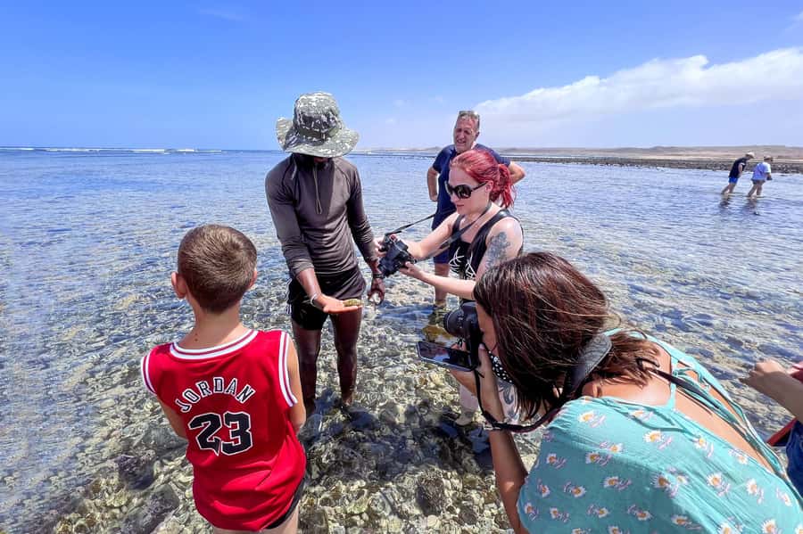 Sal Discovery: A Guided Small Group Island Tour - Shark Bay is the day’s most unusual stop