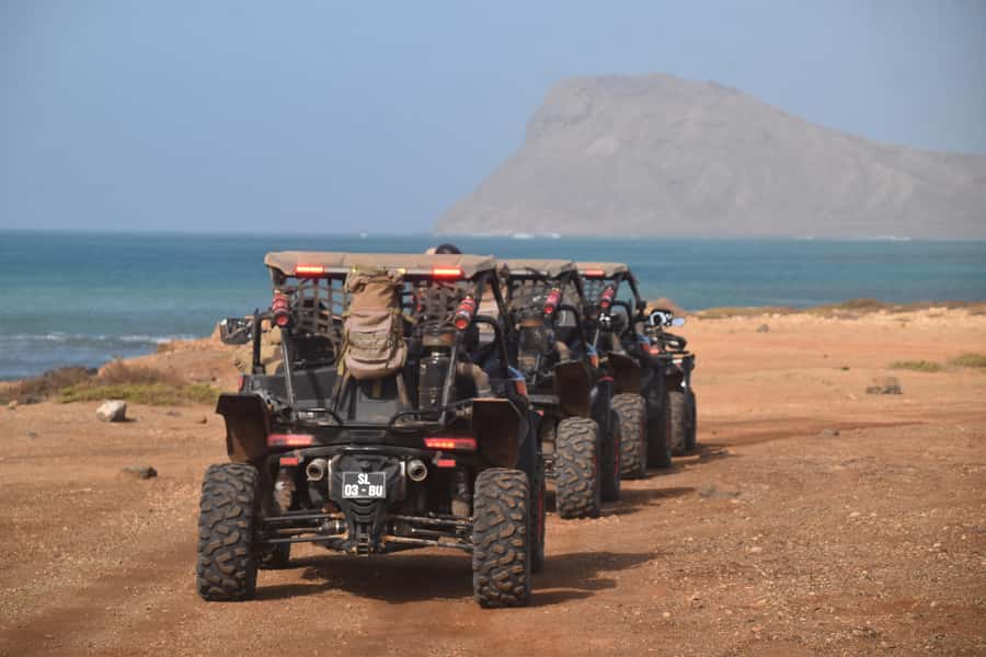Sal Island: 4-Hour Buggy Island Tour - Shark Bay and the lemon sharks