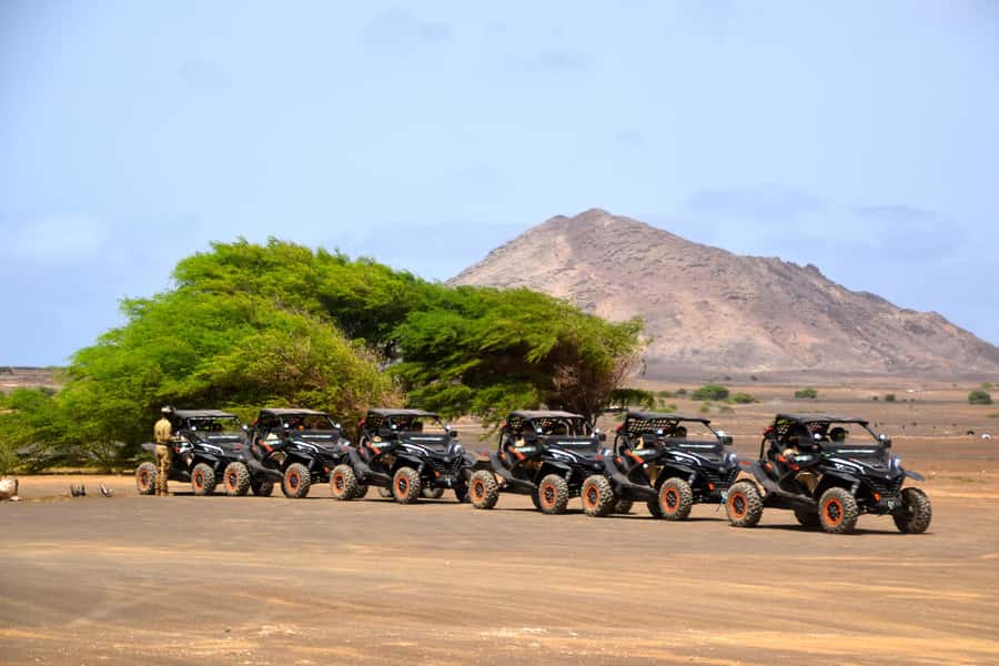 Sal Island: 4-Hour Buggy Island Tour - Finishing at Santa Maria’s salt flats