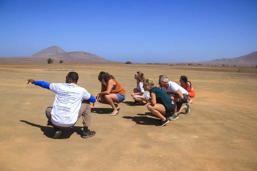 Sal: Island Experience Tour with a Certified Local Guide - Palmeira, where Sal earns its living