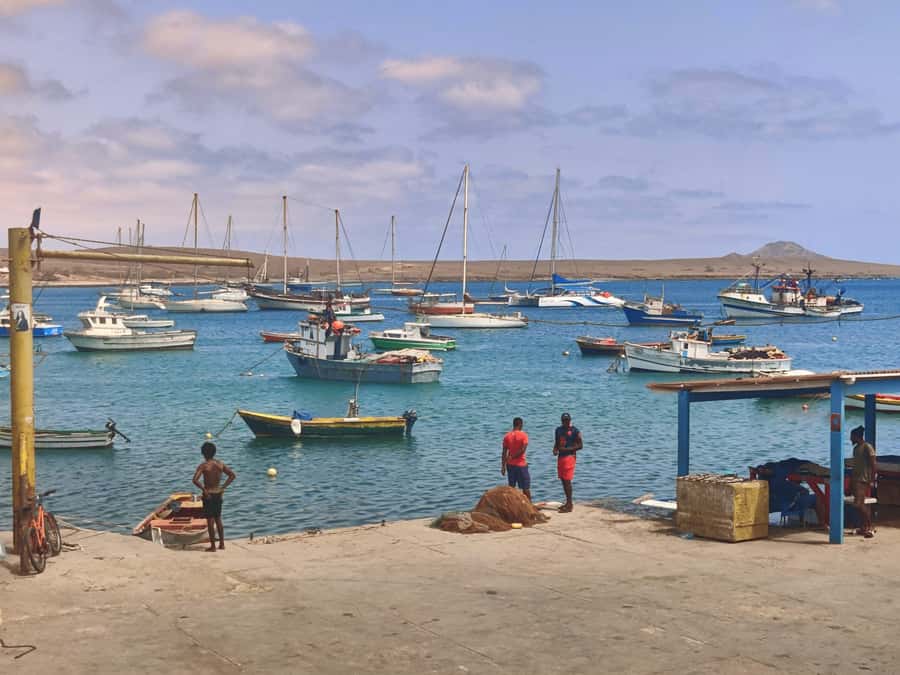 Sal: Island Experience Tour with a Certified Local Guide - Shark Bay: close, wild, and carefully managed